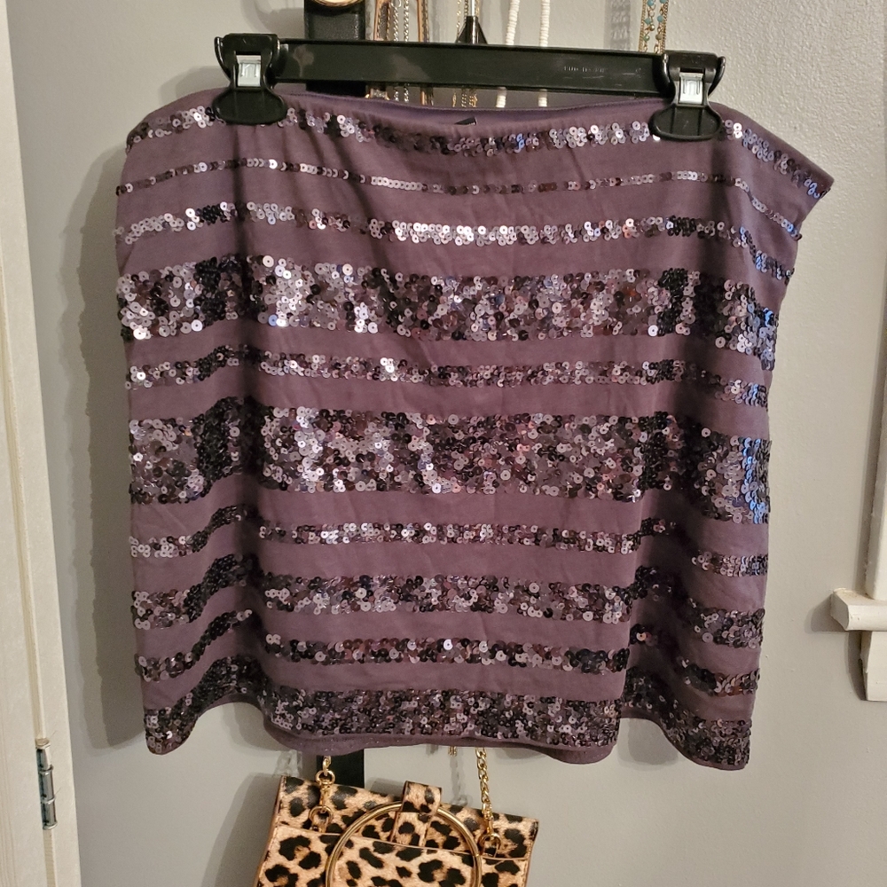 Sassy! Sexy! Express Stripe Sequin Mini Skirt - L